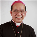Phỏng vấn Đức cha Gioan Maria Vũ Tất về đề nghị thiết lập giáo phận Hà Tuyên