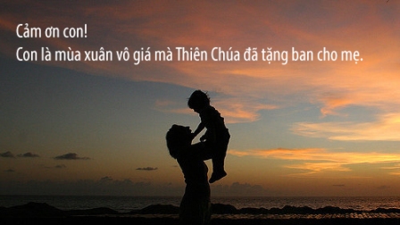 Con Là Mùa Xuân Của Mẹ