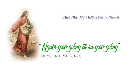 Bài Suy Niệm Chúa Nhật XV Thường Niên Năm A