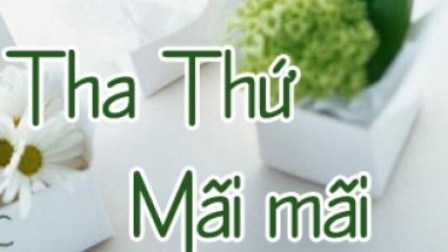 Các Bài Suy Niệm Thứ Năm Sau CN XIX TN