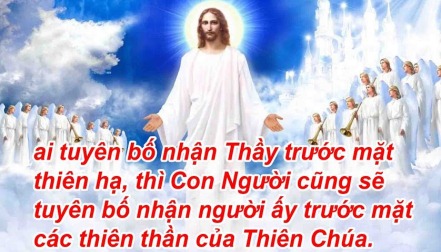 Suy Niệm Thứ Bẩy Sau CN XXVIII TN