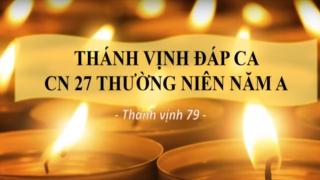 Thánh Vịnh Đáp : Chúa Nhật XXVII Thường Niên Năm A - Lm. Thái Nguyên