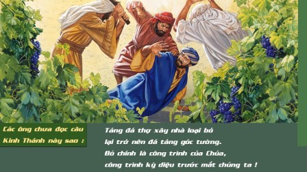 Các Bài Suy Niệm Chúa Nhật XXVII Thường Niên A