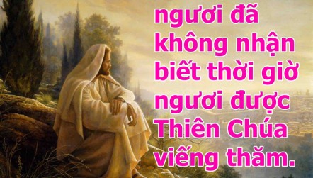 Các Bài Suy Niệm Thứ Năm Sau CN 33 TN