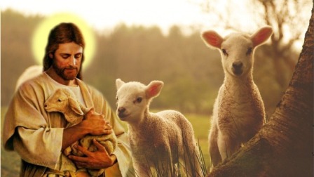 Dụ Ngôn Người Chăn Chiên Tốt Lành