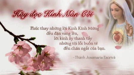 Mừng Mẹ Mân Côi