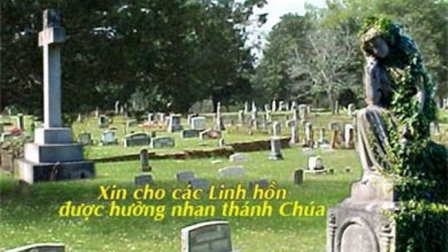 Nguyện Chúa Xót Thương