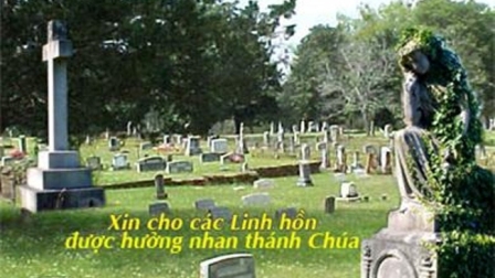 Hãy Tỉnh Thức