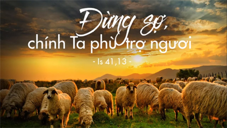 Đài Phát Thanh Vatican thứ bảy ngày 15.12.2018