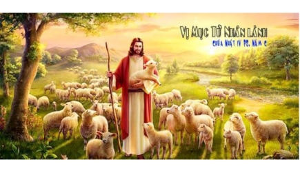 Suy Niệm Tin Mừng Chúa Nhật 4 Phục Sinh Năm C