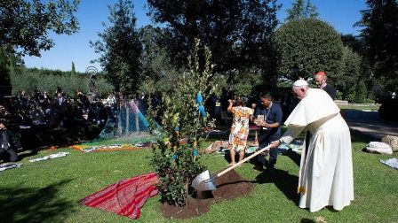 Đức Thánh Cha trồng cây tại vườn Vatican