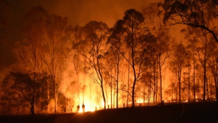 Giáo Hội Công giáo Úc ứng phó với thảm họa cháy rừng