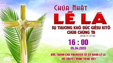 Trực tiếp Lễ Lá vào lúc 16g00 do ĐTC Phanxicô cử hành