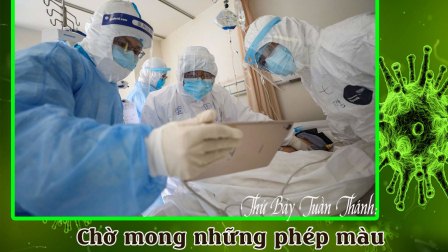 Chờ mong những phép màu