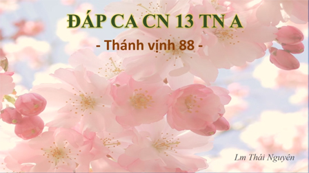 Thánh vịnh Đáp ca và Hiệp lễ Chúa nhật 13 Thường niên