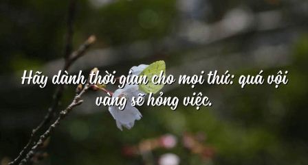 Vội