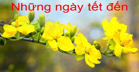 Những ngày tết đến