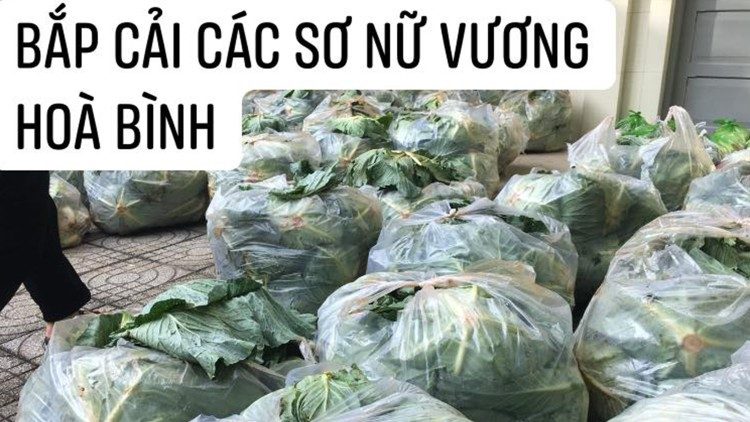 Rau từ miền cao