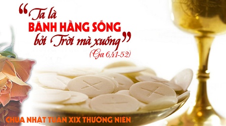 Suy Niệm Tin Mừng Chúa Nhật XIX Thường Niên B