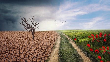 Caritas Quốc tế: Hệ sinh thái toàn diện là giải pháp cho khủng hoảng khí hậu