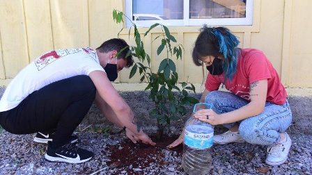 Hành động Laudato si' (@DiogoZanatta)