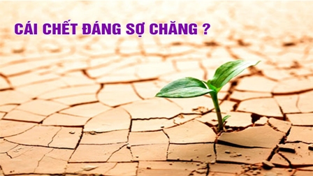 Cái chết đáng sợ chăng?