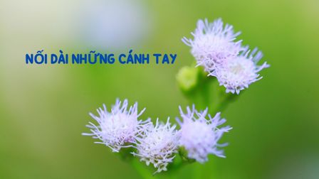 Nối dài những cánh tay