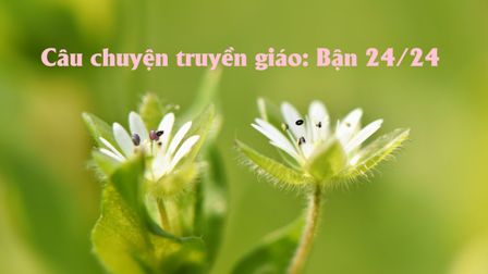 Câu chuyện truyền giáo: Bận 24/24