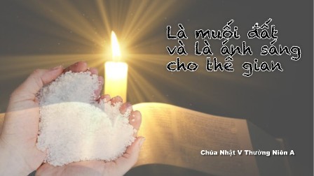 Suy niệm Tin Mừng Chúa nhật V Thường niên A