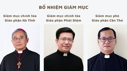 Bổ nhiệm Giám mục chính tòa các giáo phận Hà Tĩnh và Phát Diệm, Giám mục phó giáo phận Cần Thơ