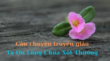 Câu chuyện truyền giáo - Tạ Ơn Lòng Chúa Xót Thương