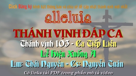 THÁNH VỊNH ĐÁP CA - CA TIẾP LIÊN - ALLELUIA - Lm Thái Nguyên