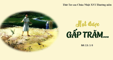 Hạt giống rơi vào đất tốt