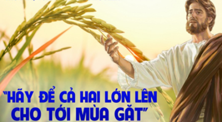 Lời được gieo có sức biến đổi