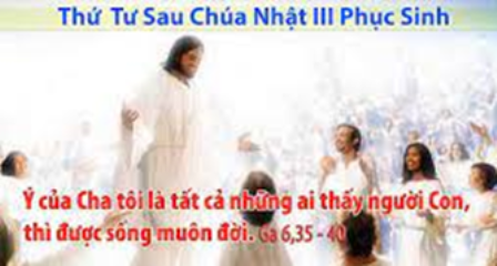 Suy niệm Tin mừng thứ Tư tuần III Phục sinh (Ga 6,35-40)