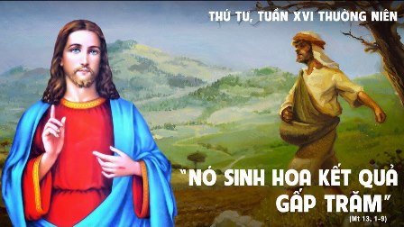 Suy niệm Tin mừng thứ Tư tuần XVI Thường niên (Mt 13,1-9)