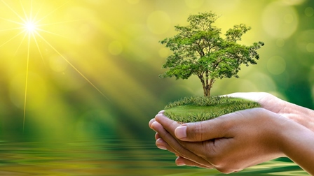 Thần học sinh thái qua lăng kính Giáo hội học