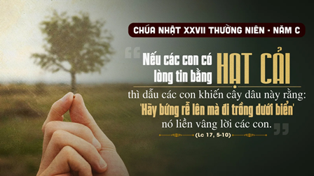 Suy niệm Tin mừng Chúa Nhật XXVII Thường niên - Năm C (Kb 1,2-3;2,2-4; 2Tm 1,6-8.13-14; Lc 17,5-10)