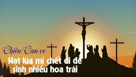 Chiều Can-Vê: Hạt Lúa Mì Chết Đi Để Sinh Nhiều Hoa Trái