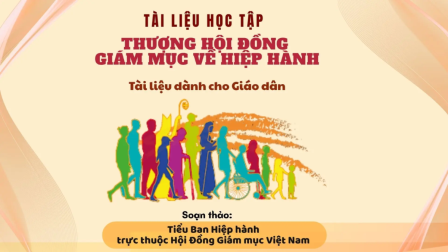 Tài Liệu Học Tập Thượng Hội Đồng Giám Mục Về Hiệp Hành Dành Cho Giáo Dân